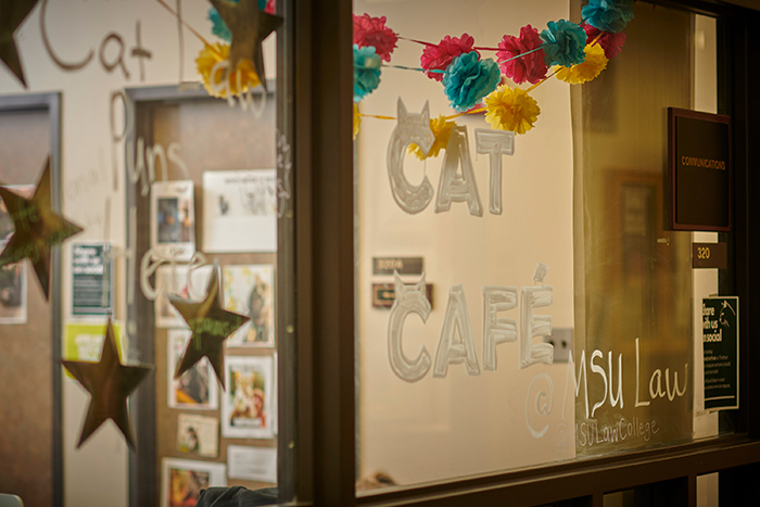 Cat Cafe